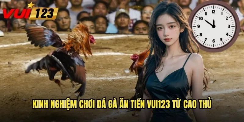 Đá gà ăn tiền tại Vui123 có thực sự mang lại thu nhập ổn định? 3 Kinh nghiệm chơi đá gà ăn tiền Vui123 từ cao thủ