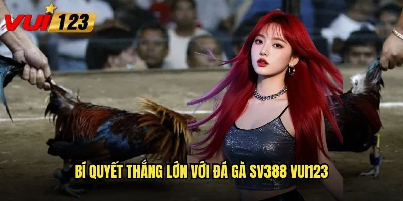 Đá gà SV388 tại Vui123 có xứng danh nhà cái số 1 châu Á? 3 Bí quyết thắng lớn với đá gà SV388 Vui123