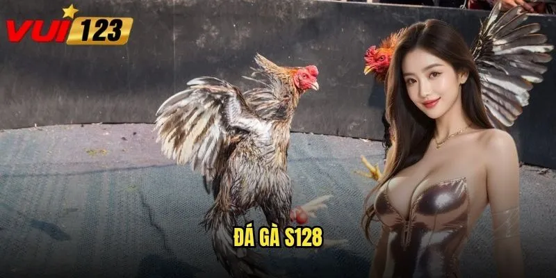 Đá gà S128