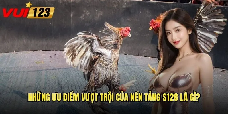 Tại sao đá gà S128 lại thu hút hàng triệu người chơi Vui123? 2 Những ưu điểm vượt trội của nền tảng S128 là gì?