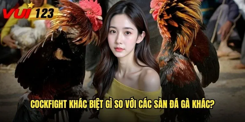 Đá gà Cockfight Vui123 có đáng để anh em đầu tư không? 2 Cockfight khác biệt gì so với các sàn đá gà khác?