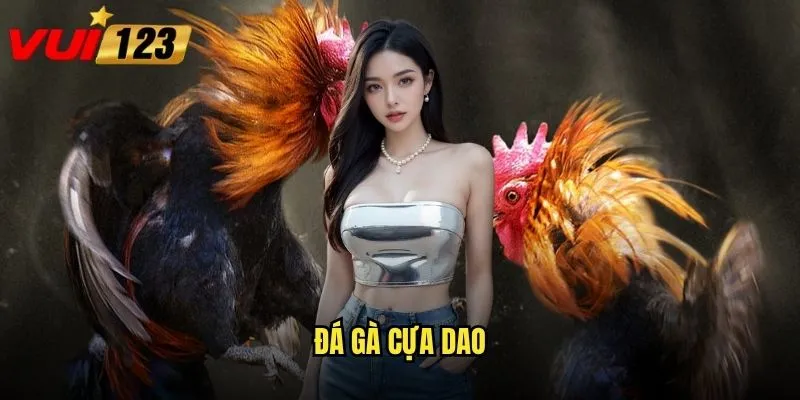 Đá gà cựa dao