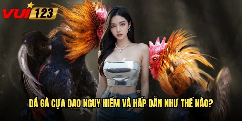 Đá gà cựa dao Vui123 - Hình thức cược mạo hiểm hay cơ hội vàng? 2 Đá gà cựa dao nguy hiểm và hấp dẫn như thế nào?