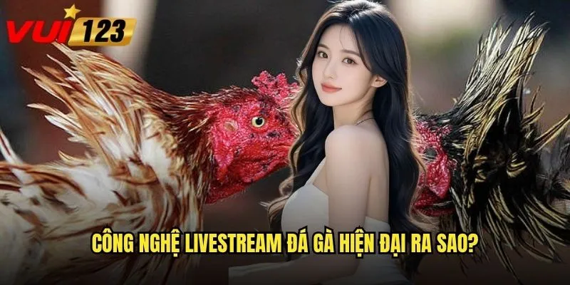 Xem đá gà trực tiếp tại Vui123 có thực sự như ở sàn đấu? 2 Công nghệ livestream đá gà hiện đại ra sao?