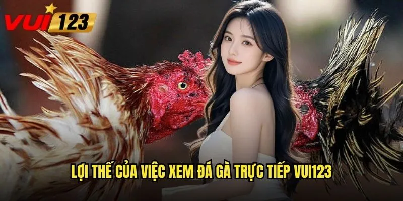 Xem đá gà trực tiếp tại Vui123 có thực sự như ở sàn đấu? 3 Lợi thế của việc xem đá gà trực tiếp Vui123