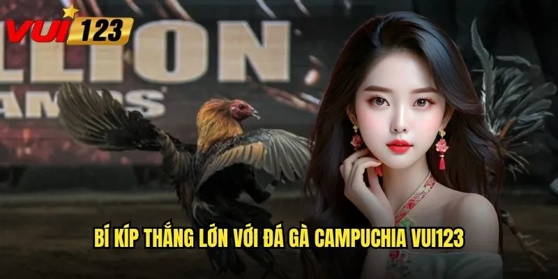 Tại sao đá gà Campuchia lại được yêu thích nhất tại Vui123? 3 Bí kíp thắng lớn với đá gà campuchia Vui123