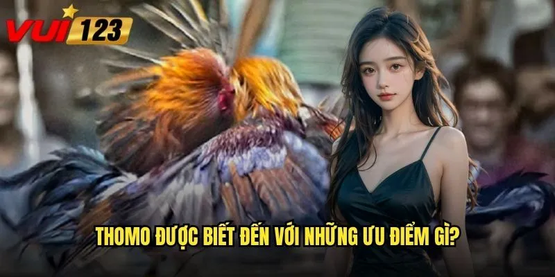 Đá gà Thomo Vui123 có gì đặc biệt so với các sàn khác? 2 Thomo được biết đến với những ưu điểm gì?