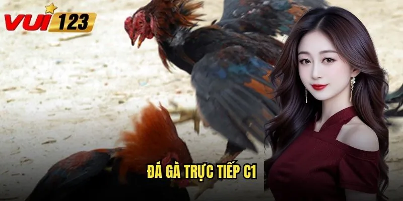 Đá gà trực tiếp C1