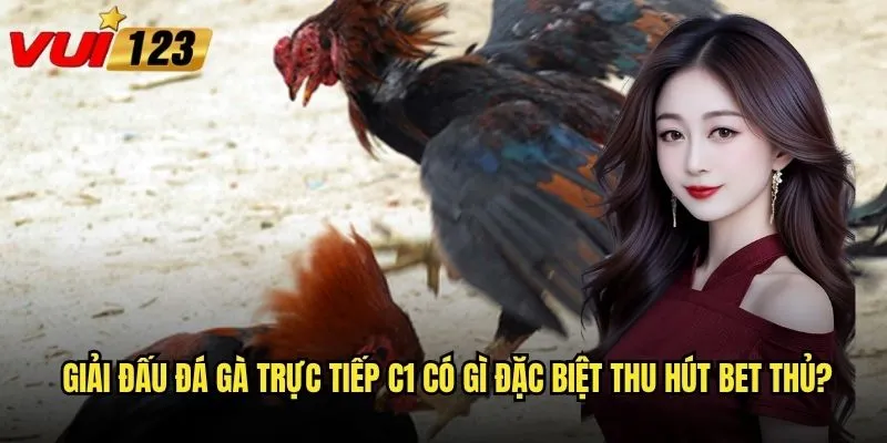 Đá gà trực tiếp C1 tại Vui123 có đẳng cấp như giải hạng nhất? 2 Giải đấu đá gà trực tiếp C1 có gì đặc biệt thu hút bet thủ?