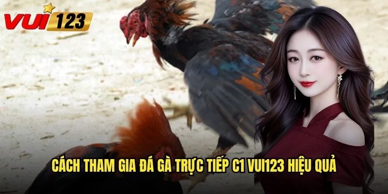 Đá gà trực tiếp C1 tại Vui123 có đẳng cấp như giải hạng nhất? 3 Cách tham gia đá gà trực tiếp C1 Vui123 hiệu quả