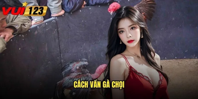 Cách vần gà chọi