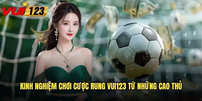 Cược rung Vui123 có đáng để anh em mạo hiểm thử sức không? 3 Kinh nghiệm chơi cược rung Vui123 từ những cao thủ